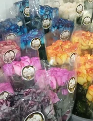 فروش عمده گل رز در شیراز - تصویر 3