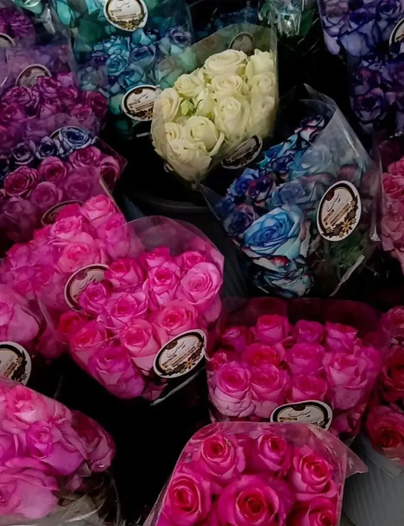 فروش عمده گل رز در شیراز